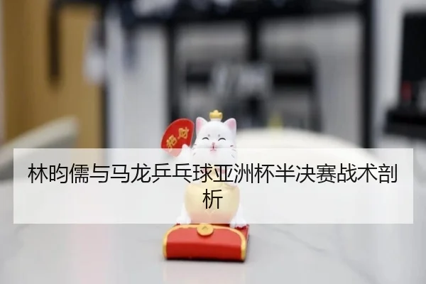 林昀儒与马龙乒乓球亚洲杯半决赛战术剖析