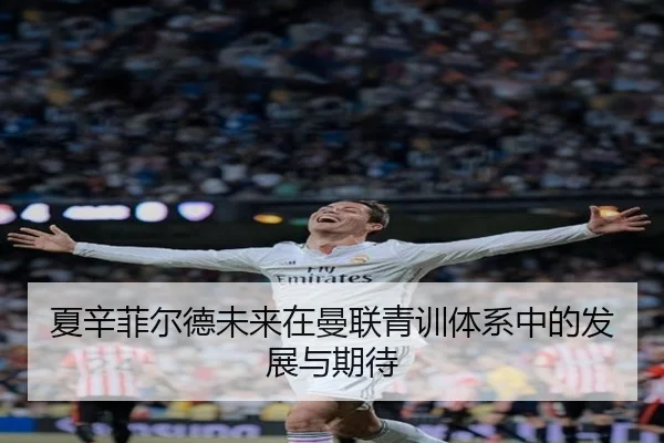 夏辛菲尔德未来在曼联青训体系中的发展与期待